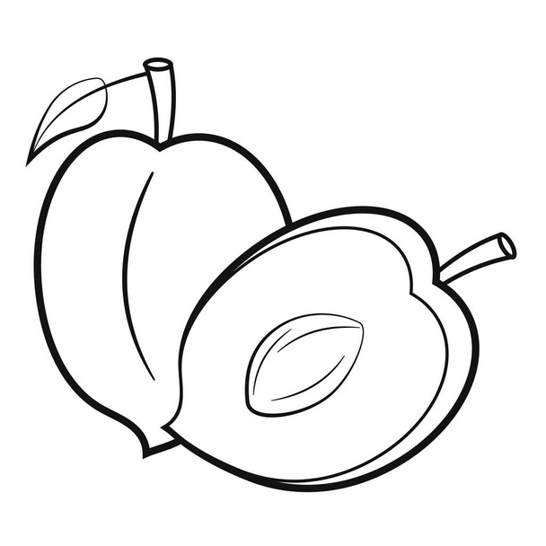 Sliced peach cut in half, with leaves. Vector illustration in black and white. - Vektori, kuva
