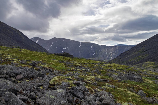 コケと地衣類、コラ半島、ロシアの北極圏の上の Hibiny 山で覆われている岩山ツンドラ - 写真・画像