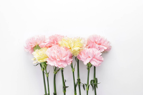 Beautiful carnation flowers on white background - Foto, afbeelding