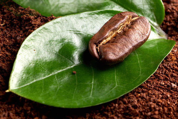 grano de café con hoja verde en el café molido. concepto: frescura de los granos de café. de cerca
 - Foto, imagen