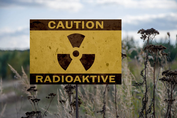 La señal de peligro de radiación se coloca sobre un fondo de plantas marchitas y el cielo azul. Inscripción: Advertencia. Radiación
. - Foto, Imagen
