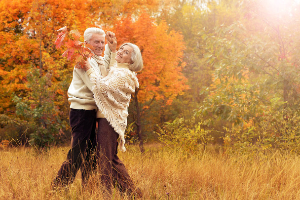 Happy senior woman and man  in park dancing - Foto, Imagem