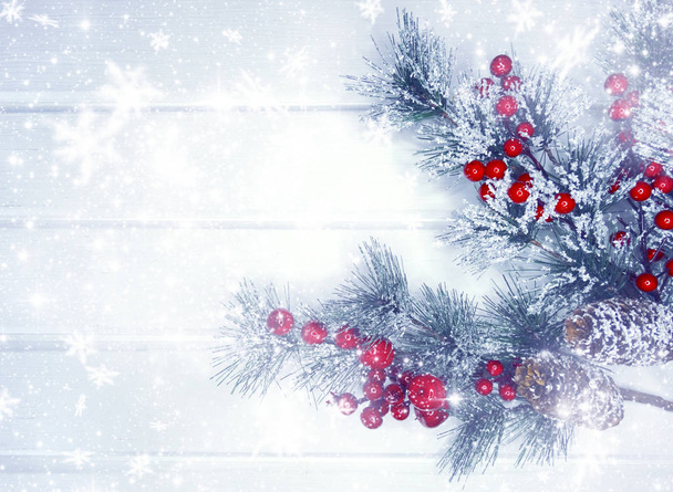 winter background with fir branches cones and snow - Photo, Image