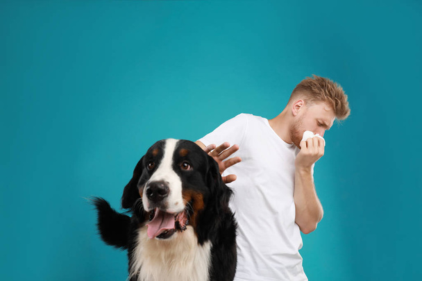 Young man suffering from fur allergy on blue background - Fotografie, Obrázek