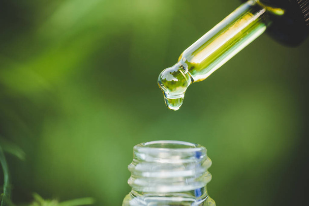 Droplet hemp oil into a glass bottle, CBD Hemp oil, Concept of h - Photo, Image
