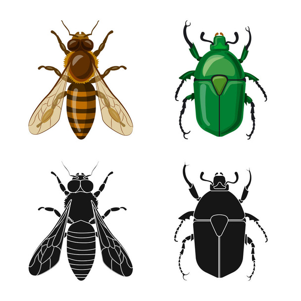 Vector illustration of insect and fly icon. Set of insect and element vector icon for stock. - Vector, Image