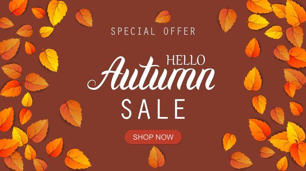 Hello autumn sale lettering banner. Special offer discount poster with fall golden leaves frame. Autumn seasonal design template shopping promotion advertising isolated on backdrop. Vector - Διάνυσμα, εικόνα