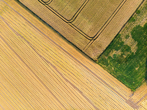 Aerial view of agricultural field - Фото, зображення