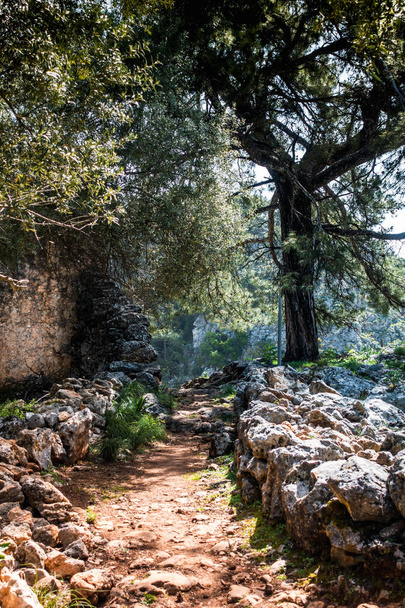Narrow roads of old Greek village, Greece - Foto, Bild