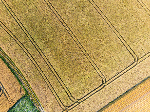 Аерофотозйомка сільськогосподарського поля
 - Фото, зображення