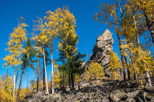 Beautiful rock in the autumn forest - Fotoğraf, Görsel