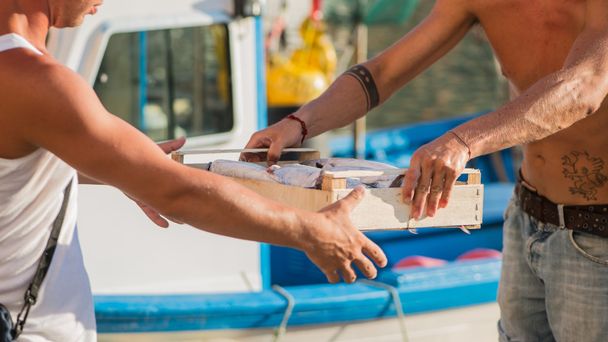 αλιείς ξεφορτώσουν κουτιά παλαμίδας  - Φωτογραφία, εικόνα