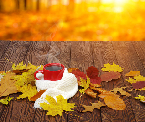 Autumn leaves and coffee.  - Photo, Image
