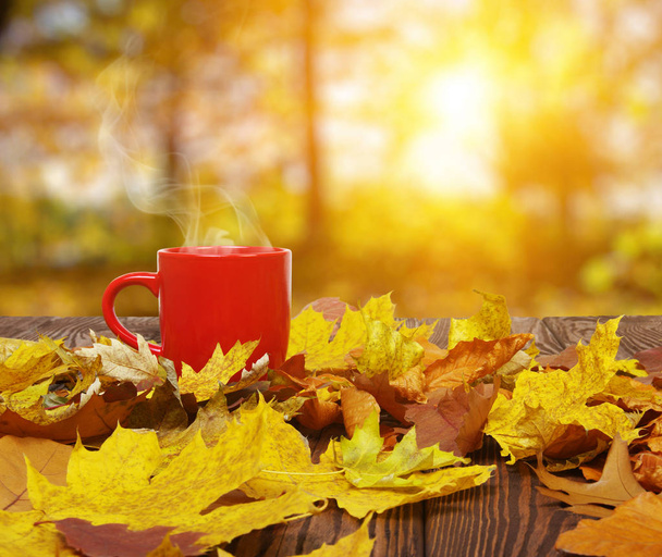 Осіннє листя і кава
.  - Фото, зображення