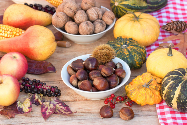 Biologisches Obst und Gemüse der Saison, Erntedank, Ernte auf dem Tisch  - Foto, Bild