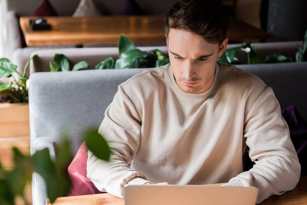 selective focus of handsome man using laptop in restaurant  - Photo, Image