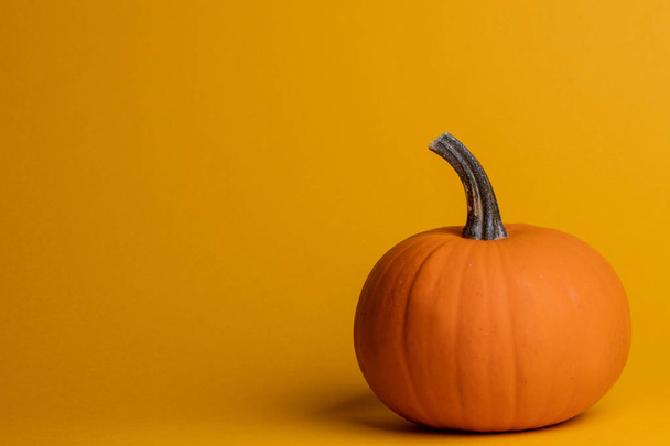 Halloween pumpkin on orange - Photo, image