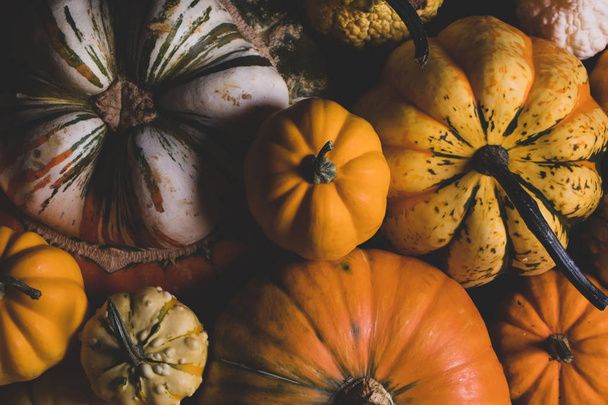 Pumpkins on wooden background - Фото, зображення