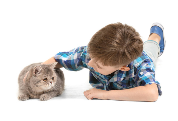 Little boy with cute cat on white background - Photo, Image