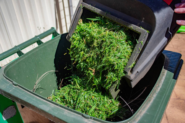 Vihreä roskakori täynnä niitettyä ruohoa. Ruohonleikkurikori tyhjenee roskakoriin. Kevätsiivous puutarhassa. Roskien kierrätys paremman ympäristön luomiseksi
. - Valokuva, kuva