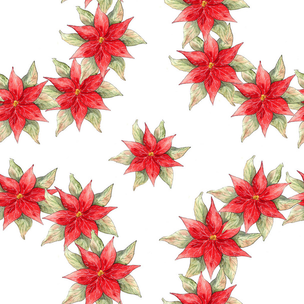 Merry Christmas and Happy New Year Card. Christmas pattern poinsettia. - Photo, image