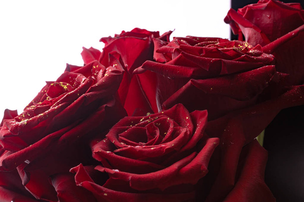 grandes flores vermelhas escuras em um fundo branco brilhante com veludo
  - Foto, Imagem