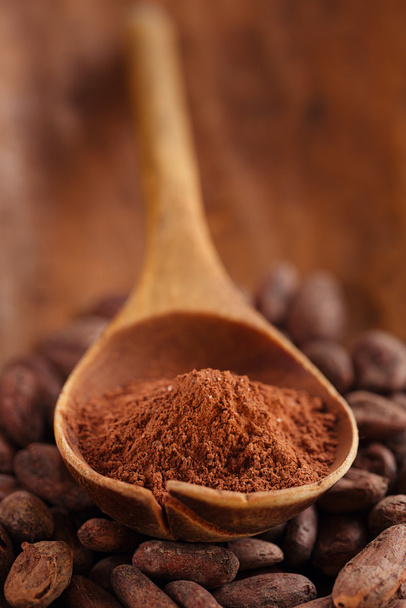 Kakaopulver in Löffel auf gerösteten Kakaobohnen Backgrou - Foto, Bild