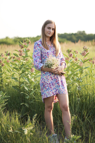 Pretty young woman in dress posing on field with flowers - Zdjęcie, obraz