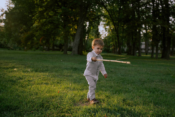 Ένα μικρό αγόρι που παίζει με ένα ραβδί σε ένα πανέμορφο καταπράσινο χωράφι. - Φωτογραφία, εικόνα