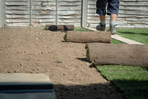 Rolls of new grass being laid out by landscaping gardeners in a home garden.  - Photo, Image
