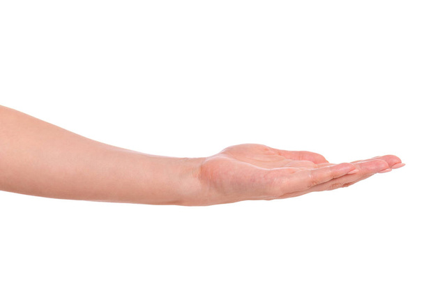 Женская рука на белом - Фото, изображение