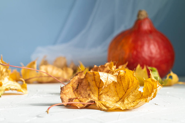 getrockneter Ahorn Herbst gelbe Blätter, saisonaler Hintergrund mit Platz für Text - Foto, Bild