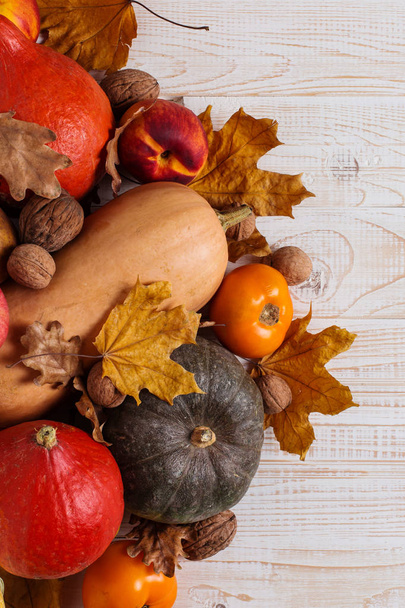 Different vegetables, pumpkins, apples, pears, nuts, tomatoes and dry leaves on a white wooden background. Autumn mood, copy space. Harvest concept. - Foto, Imagem
