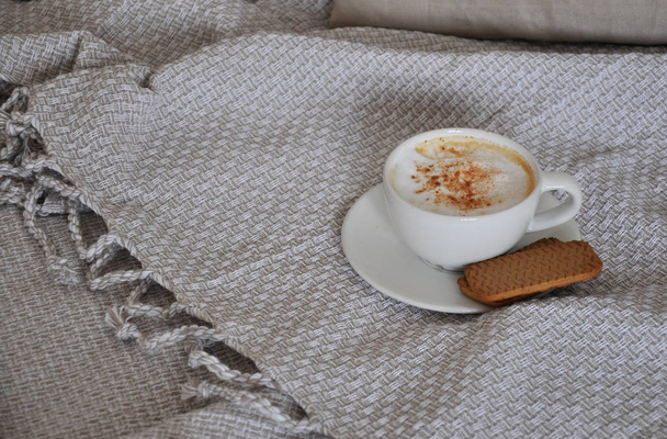 cup of coffee cappuccino and cookies - 写真・画像