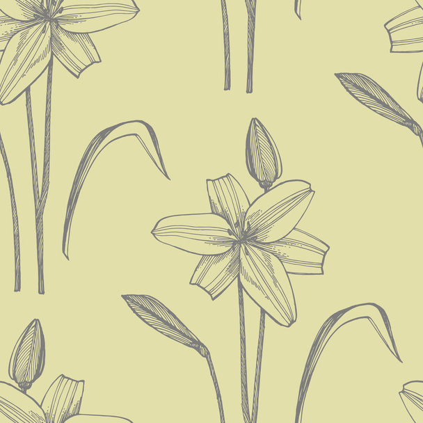 Lily flowers. Botanical illustration. Good for cosmetics, medicine, treating, aromatherapy, nursing, package design, field bouquet Hand drawn wild hay flowers - Wektor, obraz