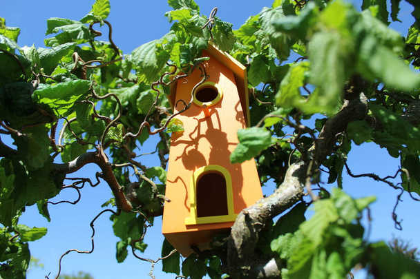 Vogelhaus auf der Weide im Garten - Foto, Bild