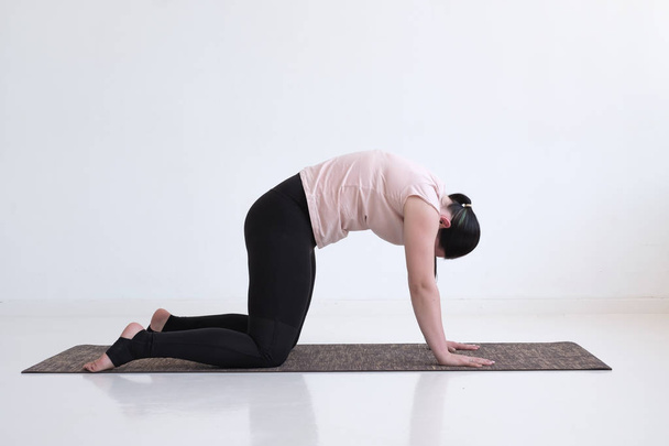Donna che fa yoga asana bitilasana mucca o gatto posa per delicato riscaldamento per la colonna vertebrale
 - Foto, immagini
