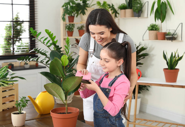 Mother and daughter taking care of plant at home - Photo, image