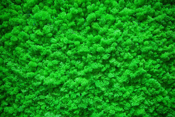 Parlak soyut bir yüzeyin fleecy dokusu - Fotoğraf, Görsel