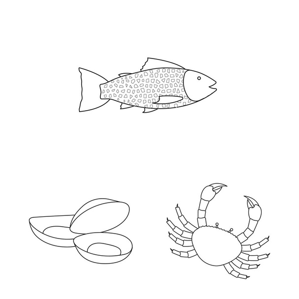 Diseño vectorial del icono de la comida y el mar. Colección de alimentos y vector saludable icono para stock
. - Vector, Imagen