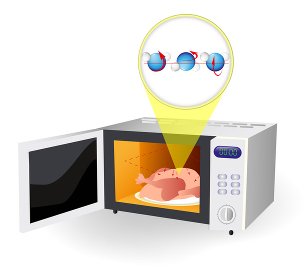 microwave oven and water molecules - Διάνυσμα, εικόνα