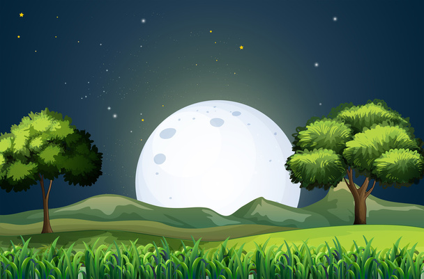 A view of the forest in the middle of the night - Vector, Image