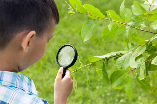 Boy with magnifying glass outdoors.The concept of childhood, nature research, search and discovery, science and knowledge in biology and botany. A child of Asian appearance. - Foto, immagini