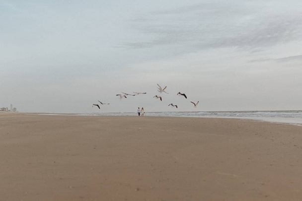 Beautiful shot of a sandy beach with loving couple walking in distance and seagulls flying around - Foto, Imagen