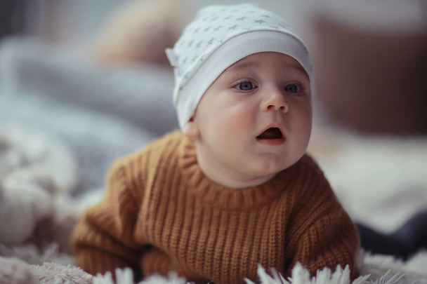 kid in a warm sweater child boy / portrait seasonal clothes, warm knitted sweater on a child, autumn portrait - Фото, изображение
