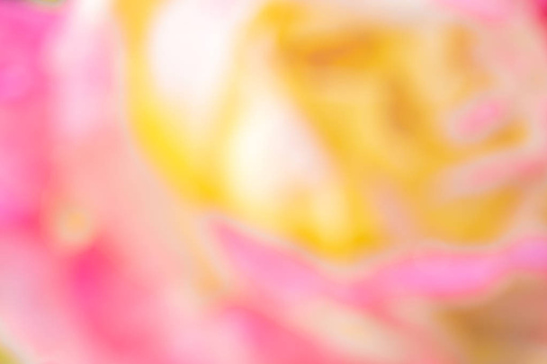 Patrón abstracto de manchas amarillas, rosadas y blancas en colores pastel. Como una flor de rosa borrosa. Llave ligera
 - Foto, Imagen