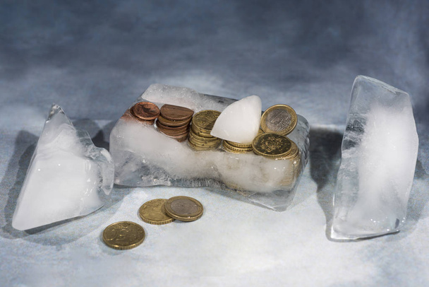 Frozen euro coins in ice. Abstract photo in banking. - Photo, Image