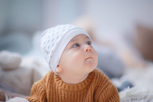 kid in a warm sweater child boy / portrait seasonal clothes, warm knitted sweater on a child, autumn portrait - 写真・画像