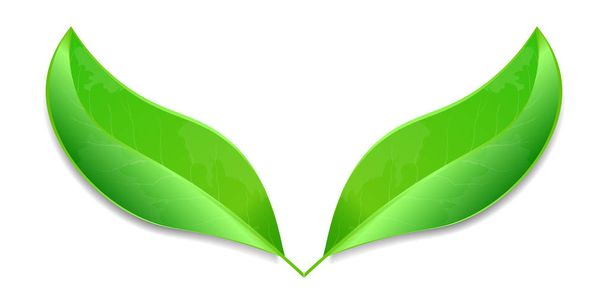 Realistic leaves, in concept time of change - Vector, Image