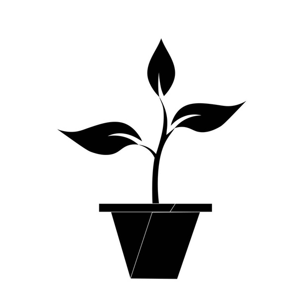 Planta arbolada en el suelo, Planta arbolada creciendo verde con 3 hojas
 - Vector, Imagen